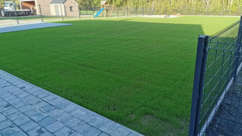 Pelouse de gazon vert fraîchement installée, bordée de pavés gris et d'une clôture anthracite, avec des arbres au fond