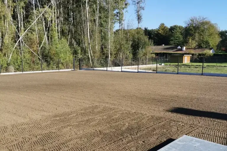 Grande surface de terre ratissée aux fines stries, bordée de pavés gris, avec des bouleaux en arrière-plan